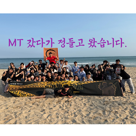 2025학년도 1학기 일본학과 MT_IN 송정