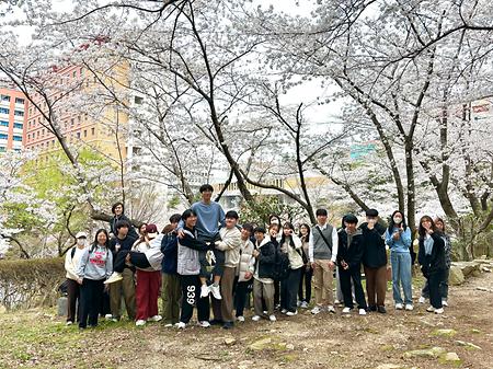 2024-1 봄맞이 벚꽃놀이
